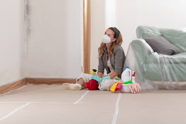 Reliable Mold Cleanup contractor in Gowen, MI by Cheap Mold Removal